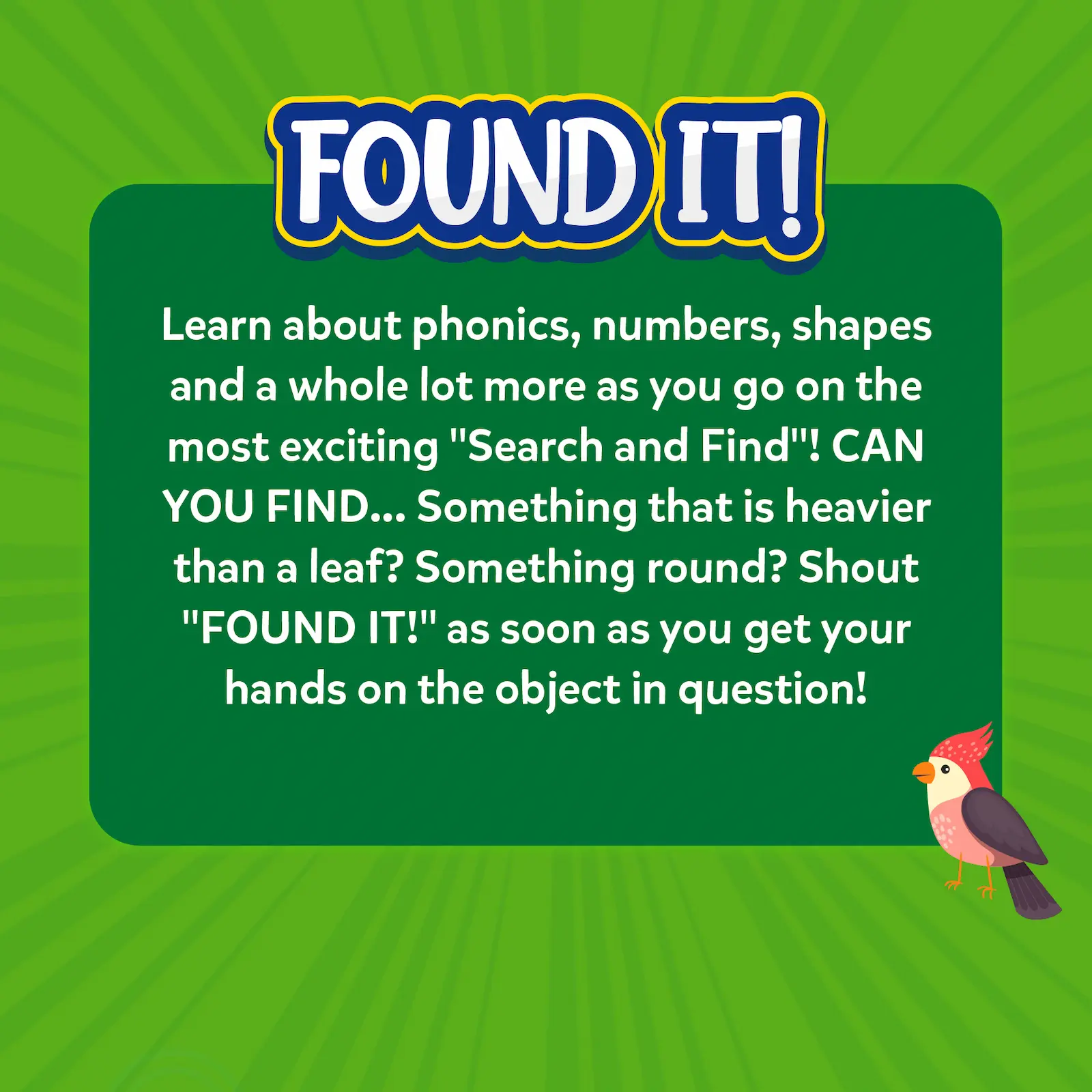 Found It! Combo: Indoor + Outdoor (ages 4-7) - Image 8