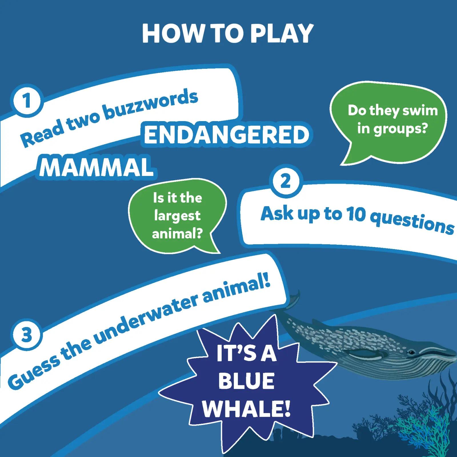 Guess in 10: Underwater Animals | Trivia card game (ages 8+) - Image 3