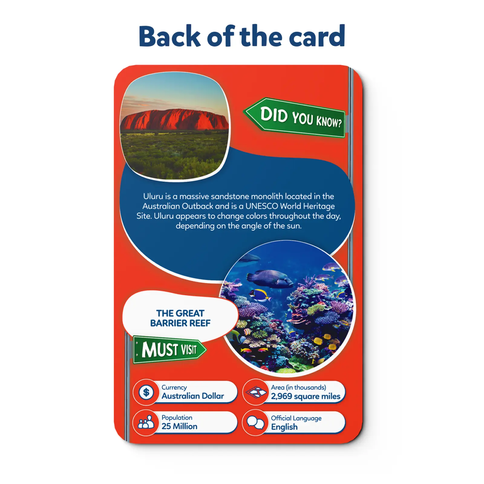 World Map Puzzle (ages 6-12) - Image 7